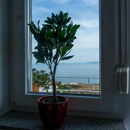 Ztc Apartment