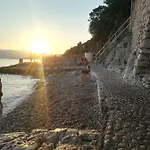 Ztc *